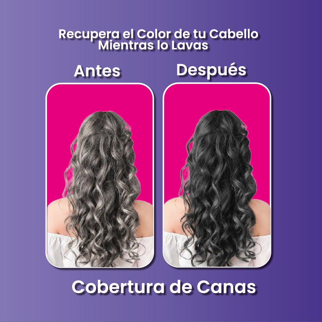 Shampoo Black Hair Dye 3 en 1- Shampoo, Condicionador y Tratamento Capilar