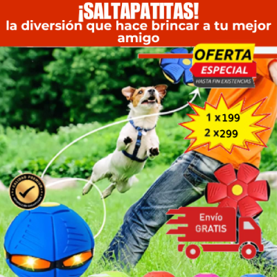 Platillo Volador Juguete Para Perros