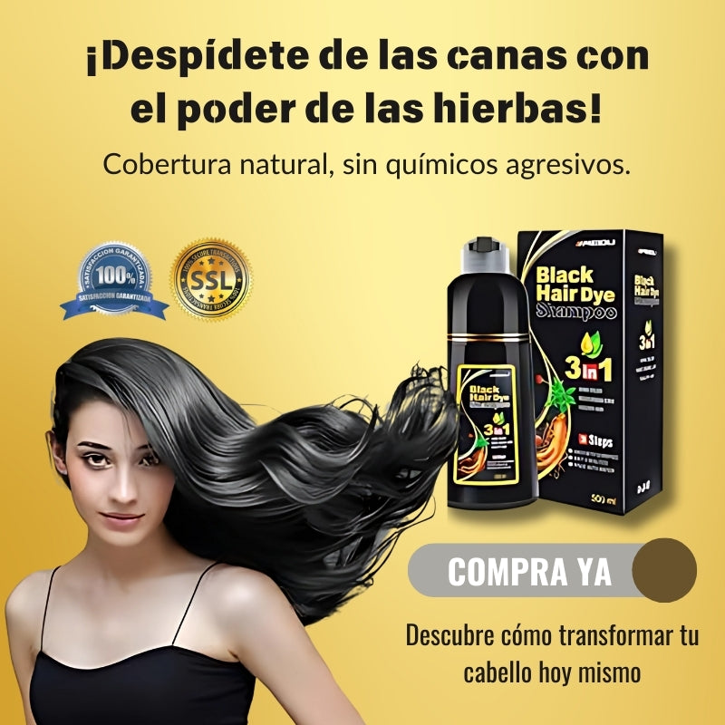 Shampoo Black Hair Dye 3 en 1- Shampoo, Condicionador y Tratamento Capilar