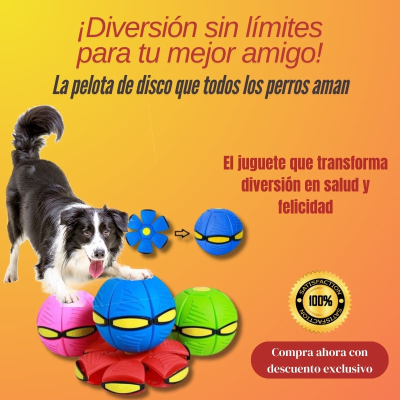 Divertido Juguete Volador Para Perros