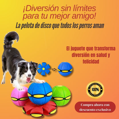 Divertido Juguete Volador Para Perros