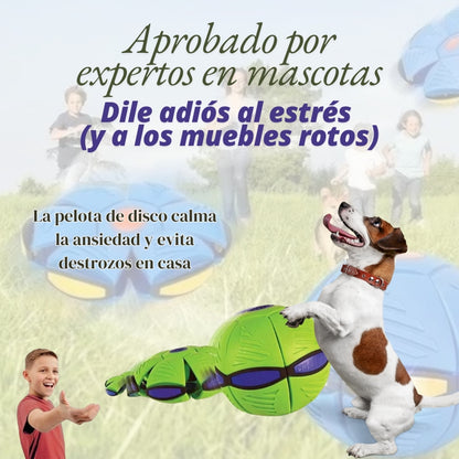 Divertido Juguete Volador Para Perros